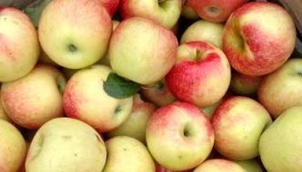 Bumper crop on the way!