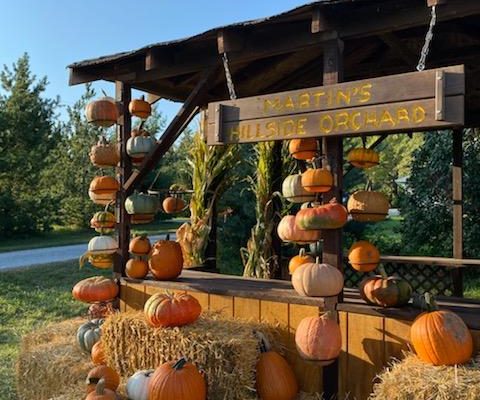 The pumpkin patch opens Saturday, September 17th